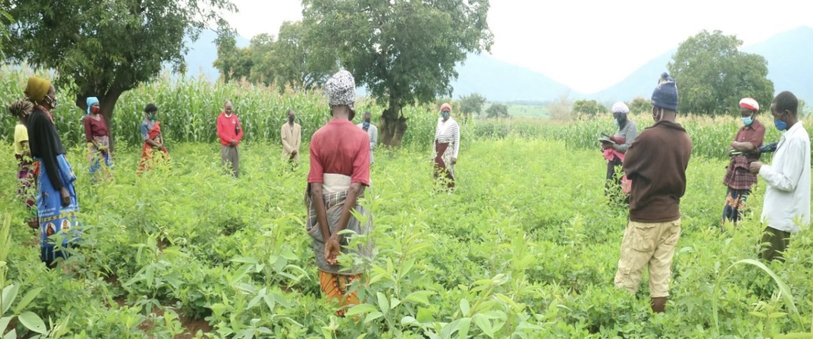 Soils, Food and Healthy Communities